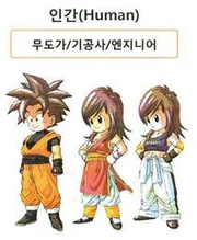 Humans in Dragon Ball Online.