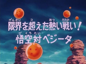 地球を斬る NASA astronaut Ellison Onizuka's soccer ball that survived the