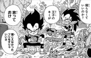 DBM Vegeta &Raditz