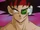 Bardock (Special)
