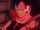 Raditz