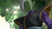 Zamasu descent