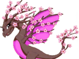 Sakura Dragon