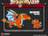 Bearded Dragon