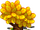 Yellow Tree