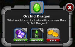 Dragonvale: Orchid Dragon T-Shirt Dragonvale: Orchid Dragon T-Shirt