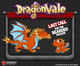 Bearded Dragon Facebook Notification: Last Call 2013