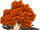 Red Tree