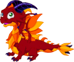 Adult Motley Dragon