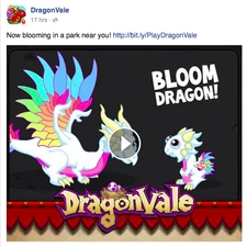 Bloom Dragon Facebook Message 2016
