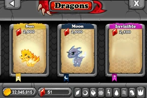 Invisible Dragon in Shop