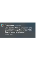 Amber Dragon Notification: Last Call 2013
