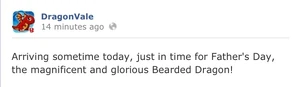 Bearded Dragon Facebook Message 2013