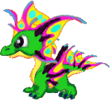 SpringDragonTeen