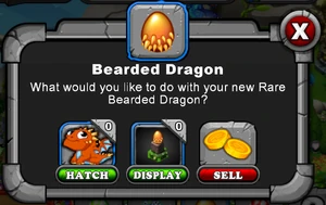 Bearded Dragon Hatch Menu