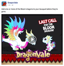Bloom Dragon Facebook Message: Last Call 2016