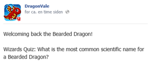 Bearded Dragon Facebook Message 2014