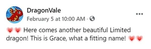 Grace Dragon Facebook Message