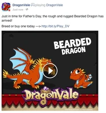 Bearded Dragon Facebook Message 2015