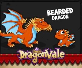 Bearded Dragon Facebook Notification 2014