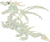 GhostlyBoneDragonAdult.png