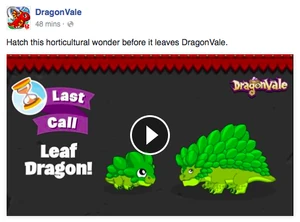 Leaf Dragon Facebook Message: Last Call 2016