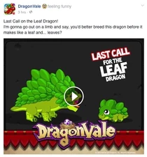 Leaf Dragon Facebook Message: Last Call 2015