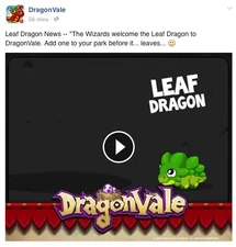 Leaf Dragon Facebook Message 2015