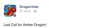 Amber Dragon Facebook Message: Last Call 2014