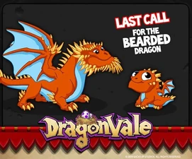 Bearded Dragon Facebook Notification: Last Call 2014