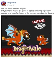 Bearded Dragon Facebook Message: Last Call 2015