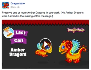 Amber Dragon Facebook Message: Last Call 2016