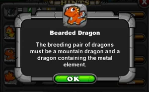 Bearded Dragon Breeding Hint