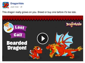 Bearded Dragon Facebook Message: Last Call 2016