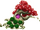 The Rosefall Tree