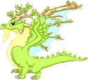 Adult Seasonal Dragon (Spring)