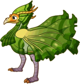 CurlyleafDragonAdult