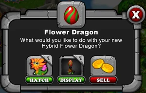 Flower Dragon Hatch Menu