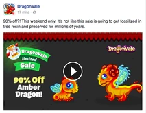Amber Dragon Limited Sale Facebook Message 2016