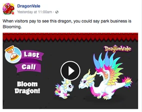 Bloom Dragon Facebook Message: Last Call 2017