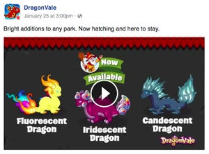 Iridescent Dragon Facebook Post