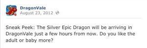 Silver Dragon Facebook Message