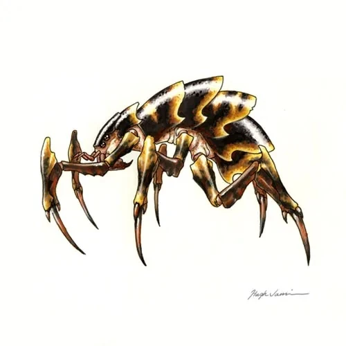 Tick | Drakan Wiki | Fandom