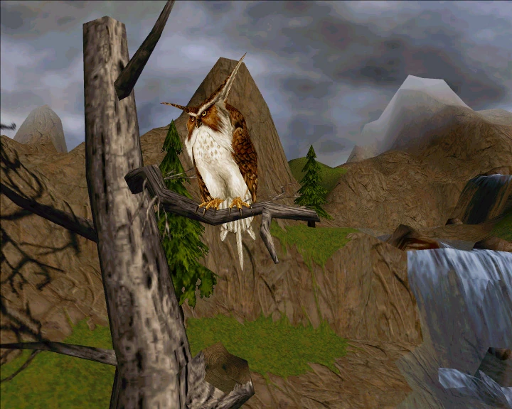 Owl | Drakan Wiki | Fandom