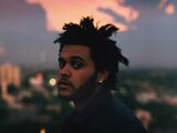 The Weeknd