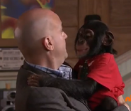 Cookie the Monkey(9).png (390 KB)