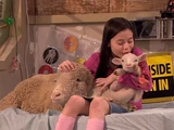 Baaahhb