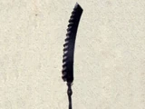 Kainé's Swords