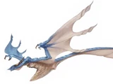 Wyverns