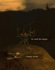 Un oeuf de Harpie